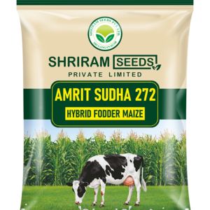 Amrit Sudha-272