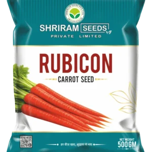Rubicon