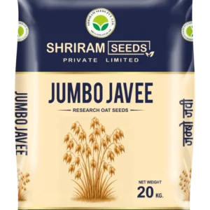 Jumbo Javee